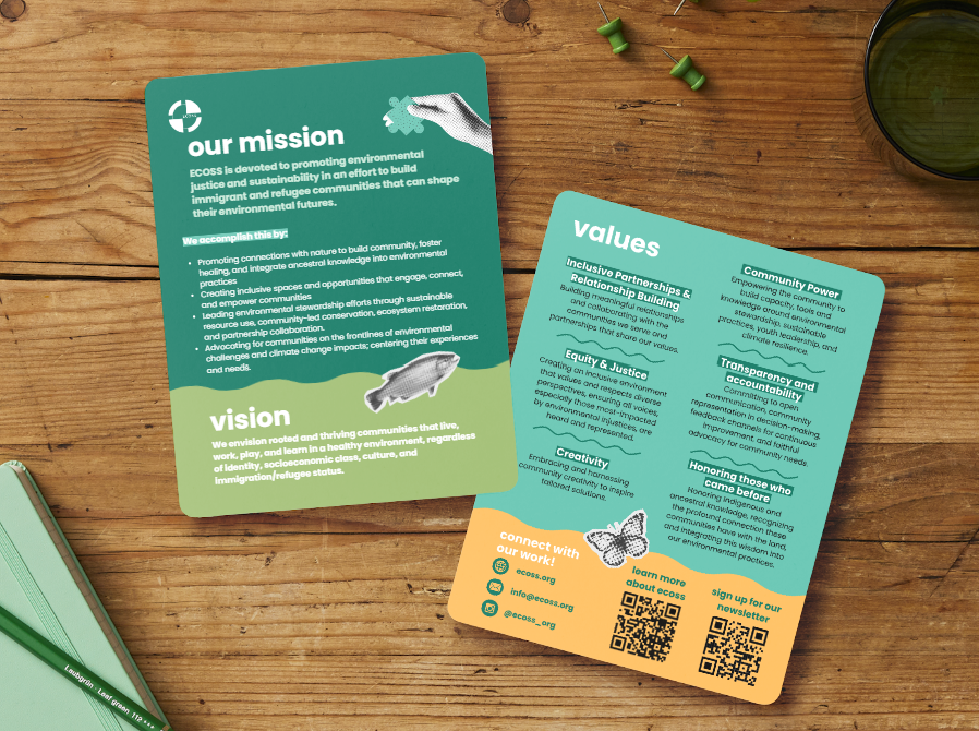 mvv card