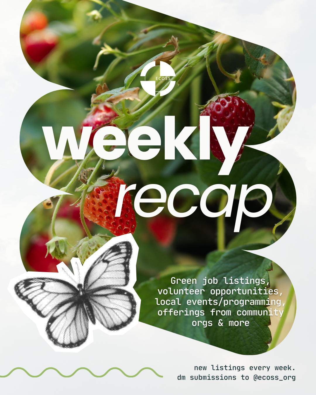[new template] weekly recap 7.3.2025